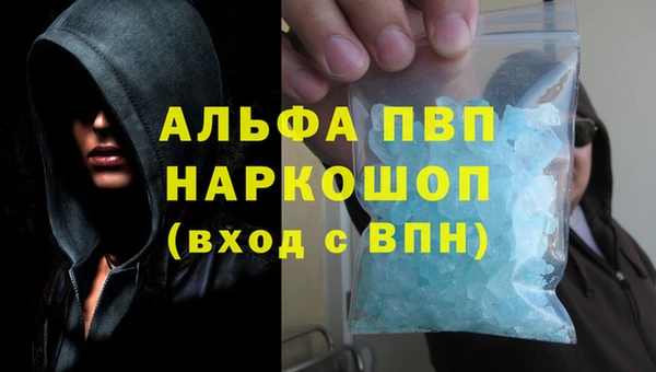 СК Белокуриха