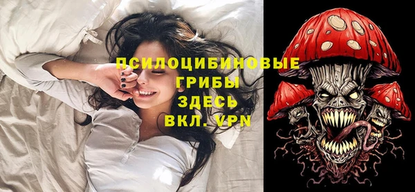 СК Белокуриха